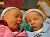 The New Kiddos