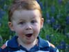 Bluebonnets 2009
